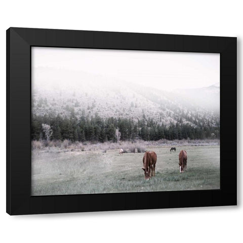 Grazing Black Modern Wood Framed Art Print with Double Matting by Alvarez, Cynthia