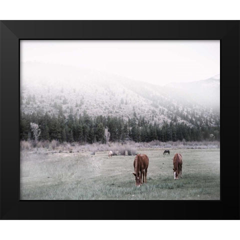 Grazing Black Modern Wood Framed Art Print by Alvarez, Cynthia