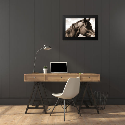 Solitary Horse Black Modern Wood Framed Art Print by Alvarez, Cynthia