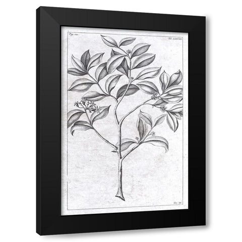 Palm 1 Black Modern Wood Framed Art Print by Brown, Denise