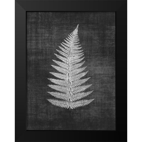 Astor Fern 1 Black Modern Wood Framed Art Print by Brown, Denise
