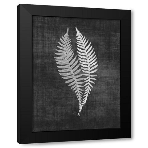 Astor Fern 2 Black Modern Wood Framed Art Print by Brown, Denise