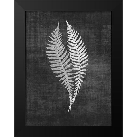 Astor Fern 2 Black Modern Wood Framed Art Print by Brown, Denise