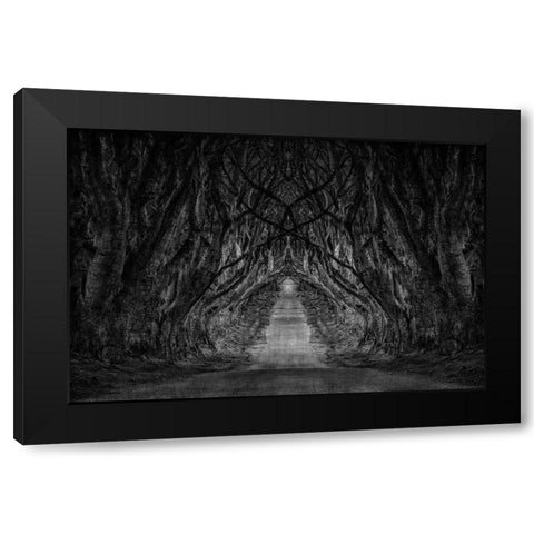 Black And White Trees Black Modern Wood Framed Art Print by Brown, Denise