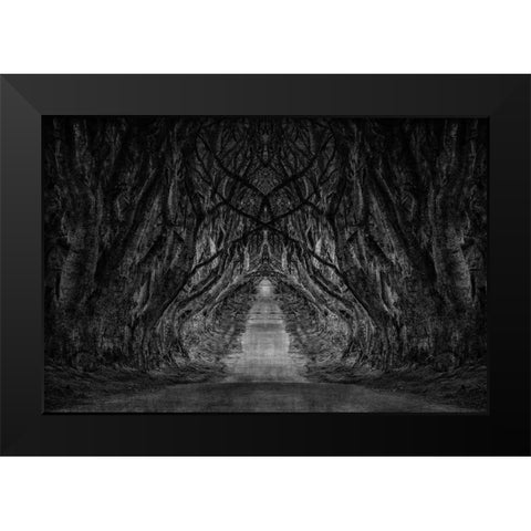 Black And White Trees Black Modern Wood Framed Art Print by Brown, Denise