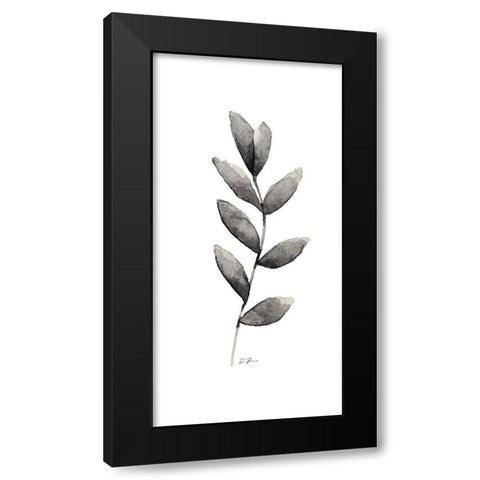 Botanical Stem 1 Black Modern Wood Framed Art Print with Double Matting by Brown, Denise