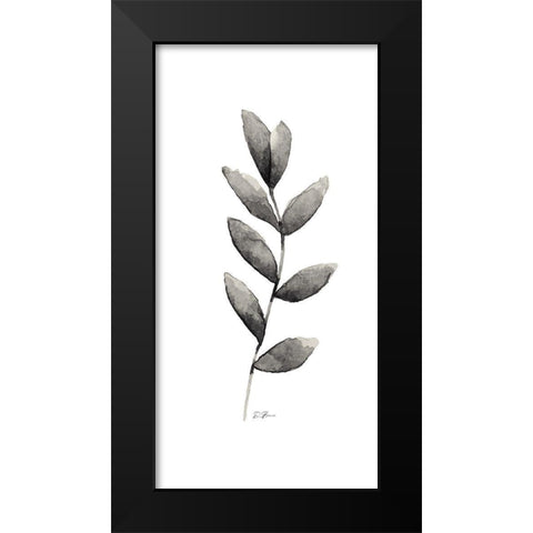 Botanical Stem 1 Black Modern Wood Framed Art Print by Brown, Denise