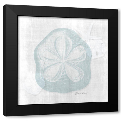 Sand Dollar 2 Black Modern Wood Framed Art Print with Double Matting by Brown, Denise
