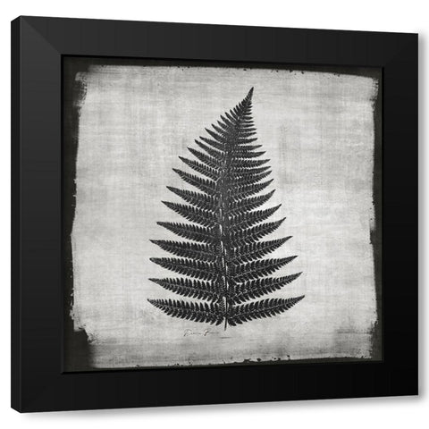 Noir Fern 1 Black Modern Wood Framed Art Print by Brown, Denise