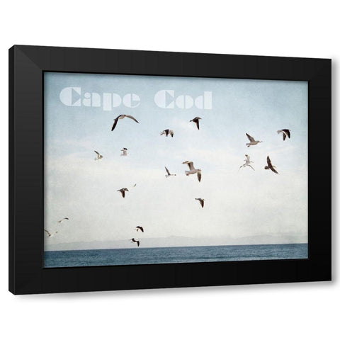 Cape Flight Black Modern Wood Framed Art Print by Urquhart, Elizabeth