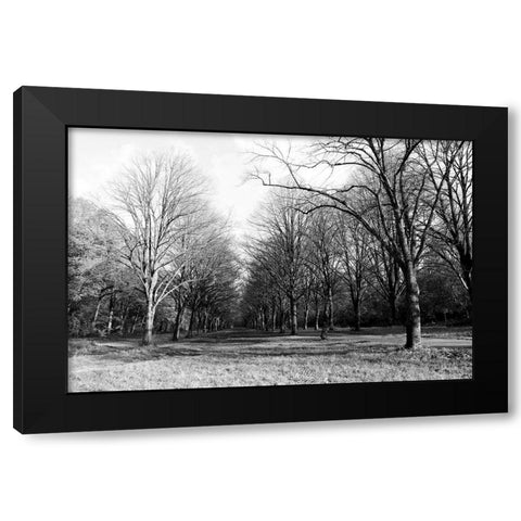 Path Way Black Modern Wood Framed Art Print with Double Matting by Frances, Stephanie