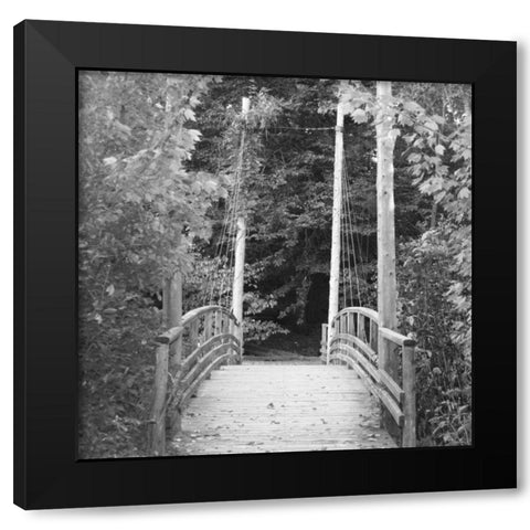 Landscape 3 Black Modern Wood Framed Art Print with Double Matting by Gibbons, Lauren