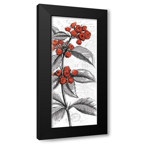 Red Flower Black Modern Wood Framed Art Print by Grey, Jace