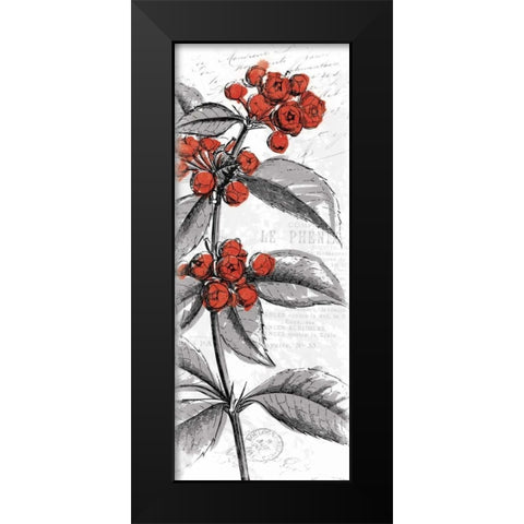 Red Flower Black Modern Wood Framed Art Print by Grey, Jace