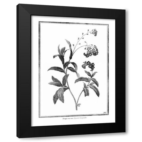 Forget me not Black Modern Wood Framed Art Print with Double Matting by Grey, Jace