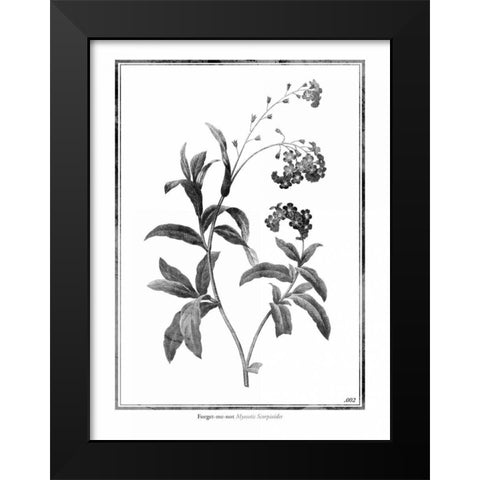 Forget me not Black Modern Wood Framed Art Print by Grey, Jace