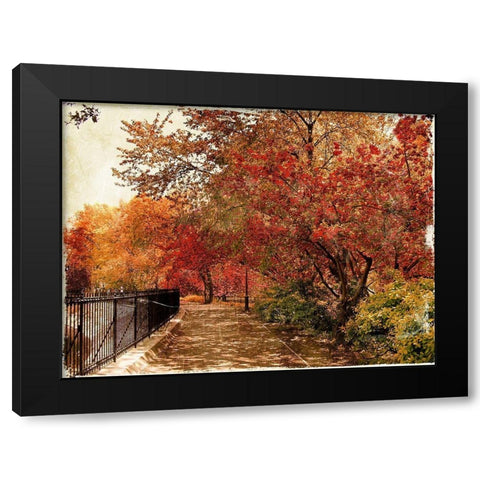 NY Fall Black Modern Wood Framed Art Print with Double Matting by Grey, Jace