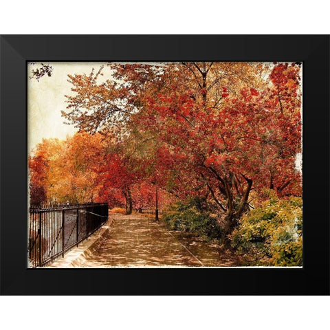 NY Fall Black Modern Wood Framed Art Print by Grey, Jace
