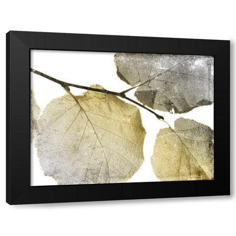 Classic Leaves White Black Modern Wood Framed Art Print by Grey, Jace