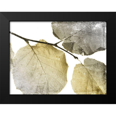 Classic Leaves White Black Modern Wood Framed Art Print by Grey, Jace