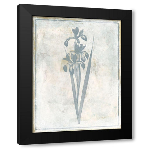 Sky Floral Four Black Modern Wood Framed Art Print with Double Matting by Grey, Jace
