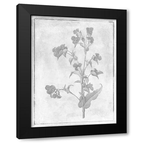 Monochrome Floral Cleaner 1 Black Modern Wood Framed Art Print with Double Matting by Grey, Jace