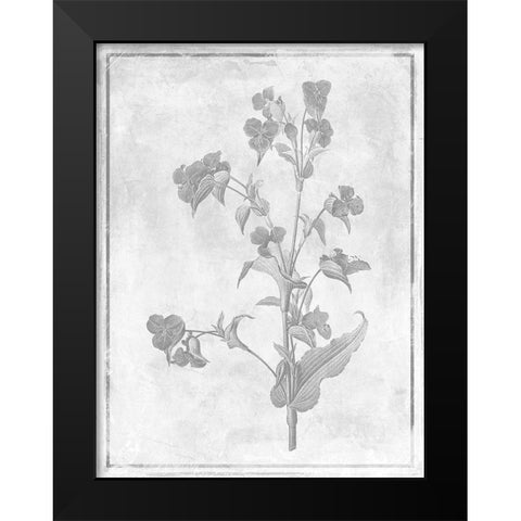 Monochrome Floral Cleaner 1 Black Modern Wood Framed Art Print by Grey, Jace