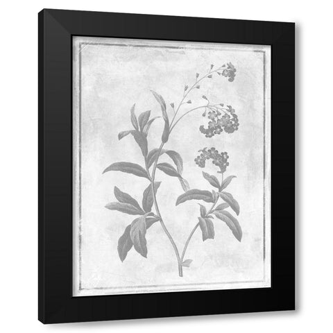 Monochrome Floral Cleaner 2 Black Modern Wood Framed Art Print with Double Matting by Grey, Jace