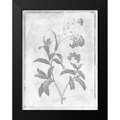 Monochrome Floral Cleaner 2 Black Modern Wood Framed Art Print by Grey, Jace