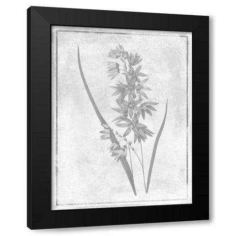 Monochrome Floral Cleaner 3 Black Modern Wood Framed Art Print with Double Matting by Grey, Jace