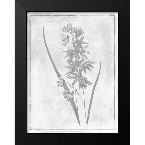Monochrome Floral Cleaner 3 Black Modern Wood Framed Art Print by Grey, Jace