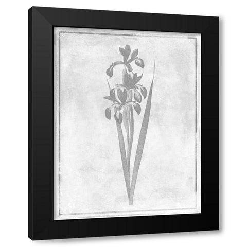 Monochrome Floral Cleaner 4 Black Modern Wood Framed Art Print with Double Matting by Grey, Jace