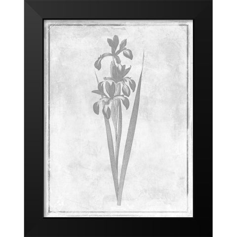 Monochrome Floral Cleaner 4 Black Modern Wood Framed Art Print by Grey, Jace