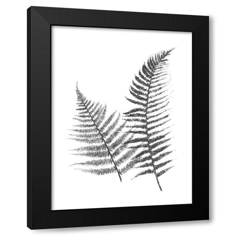 Monochromatic Ferns 1 Black Modern Wood Framed Art Print with Double Matting by Grey, Jace