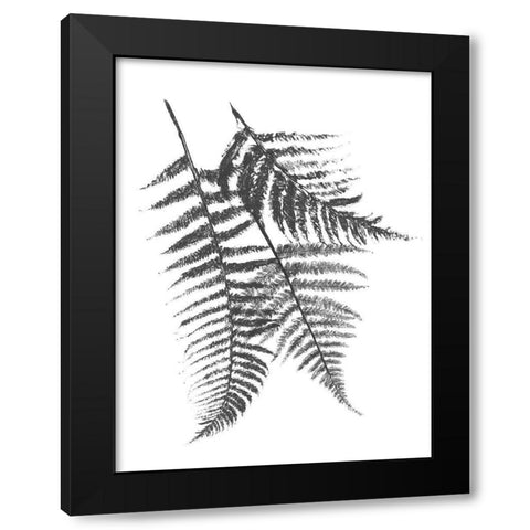 Monochromatic Ferns 2 Black Modern Wood Framed Art Print with Double Matting by Grey, Jace