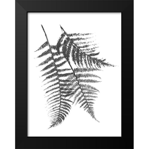 Monochromatic Ferns 2 Black Modern Wood Framed Art Print by Grey, Jace
