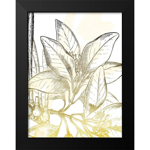 Fade Botanicals Mate Black Modern Wood Framed Art Print by Grey, Jace