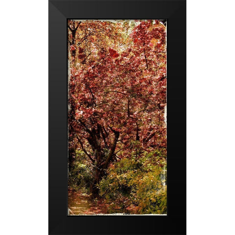 Ny Fall Trees Black Modern Wood Framed Art Print by Grey, Jace