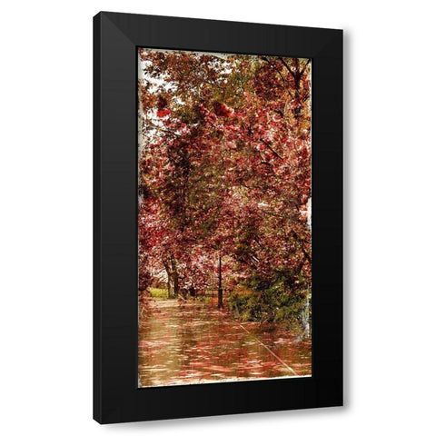 Ny Fall Trees Mate Black Modern Wood Framed Art Print with Double Matting by Grey, Jace