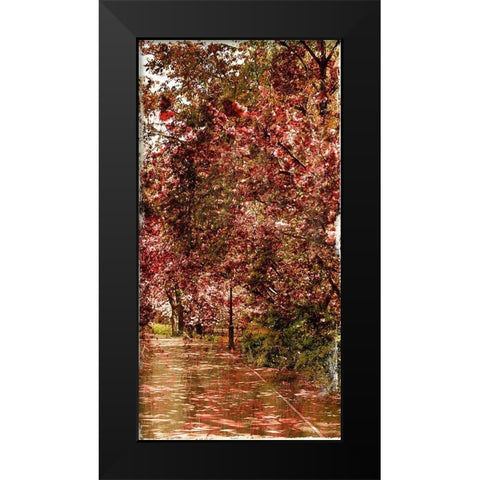 Ny Fall Trees Mate Black Modern Wood Framed Art Print by Grey, Jace