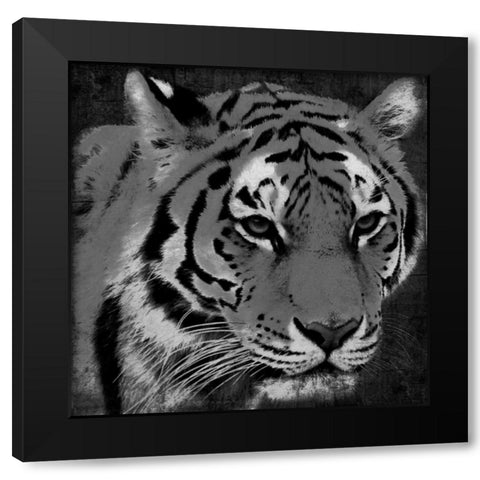Tiger Black And White Black Modern Wood Framed Art Print by Grey, Jace