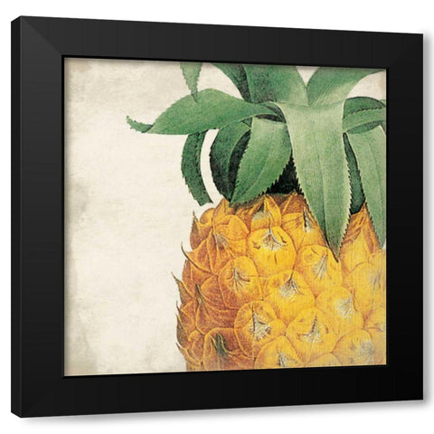 Pineapple Black Modern Wood Framed Art Print with Double Matting by Grey, Jace