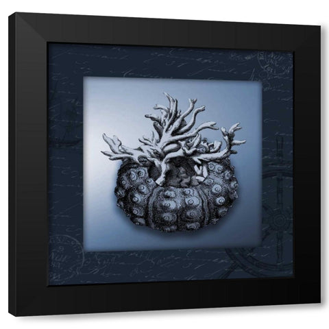Nautical blue bordered Black Modern Wood Framed Art Print with Double Matting by Grey, Jace
