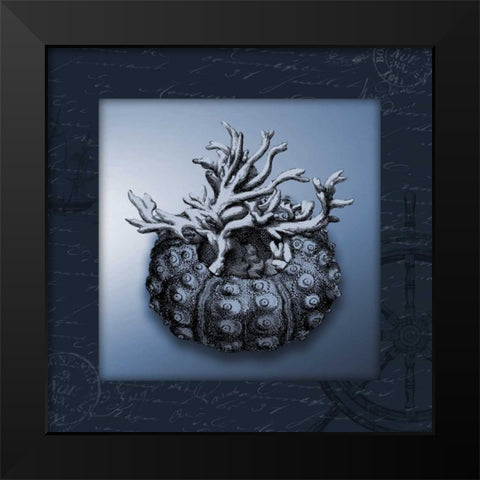 Nautical blue bordered Black Modern Wood Framed Art Print by Grey, Jace