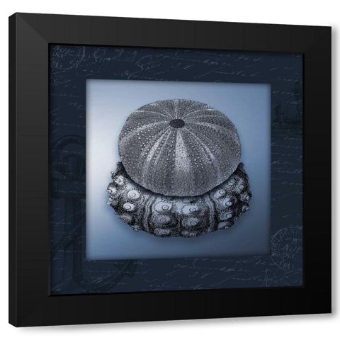 Nautical blue mate Bordered Black Modern Wood Framed Art Print with Double Matting by Grey, Jace