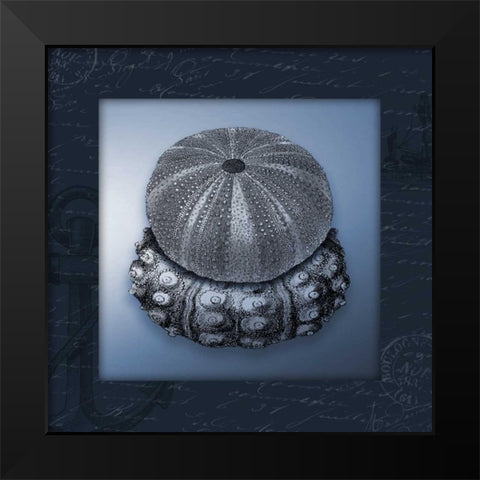 Nautical blue mate Bordered Black Modern Wood Framed Art Print by Grey, Jace