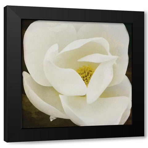 MAG Black Modern Wood Framed Art Print with Double Matting by Grey, Jace