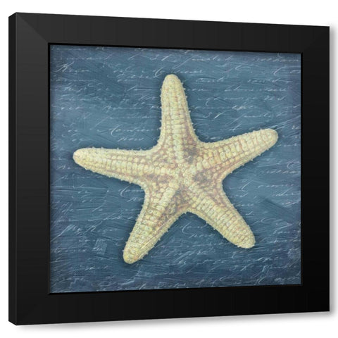 Star Fish Light Blue Black Modern Wood Framed Art Print with Double Matting by Grey, Jace