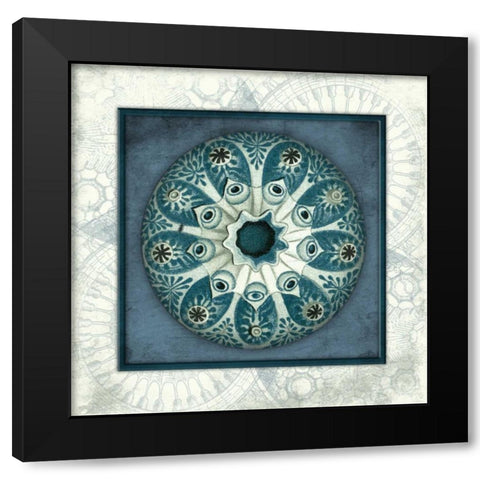 Coastal blue_ bordered Black Modern Wood Framed Art Print with Double Matting by Grey, Jace
