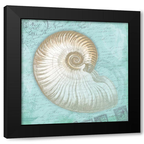 Nautical Shells Black Modern Wood Framed Art Print with Double Matting by Grey, Jace